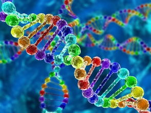 中国将开创人体基因编辑试验先河